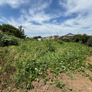 守谷市 立沢  土地 画像3