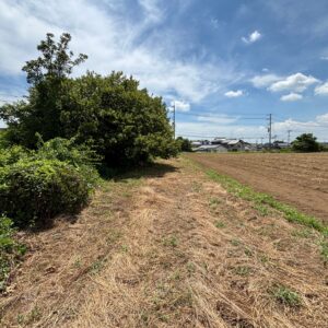 守谷市 立沢  土地 画像6