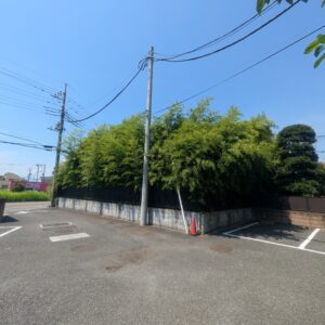 上尾市 大字壱丁目 店舗用地 画像6 上尾市 大字壱丁目 店舗用地 画像6